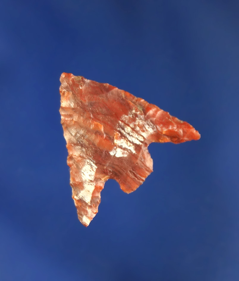 3/4" Columbia Plateau made from multicolored red petrified wood found near the Columbia River.