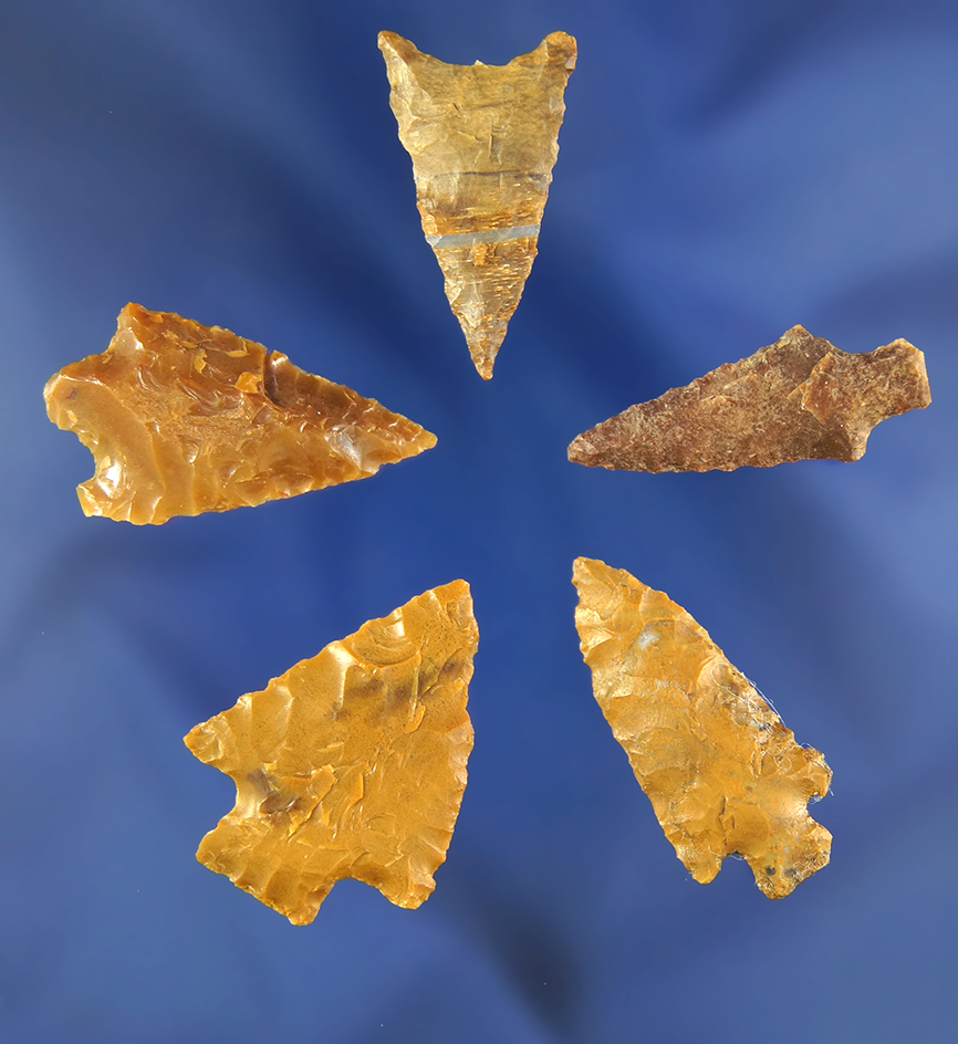 Set of five assorted Columbia River arrowheads, largest is 1 3/16".