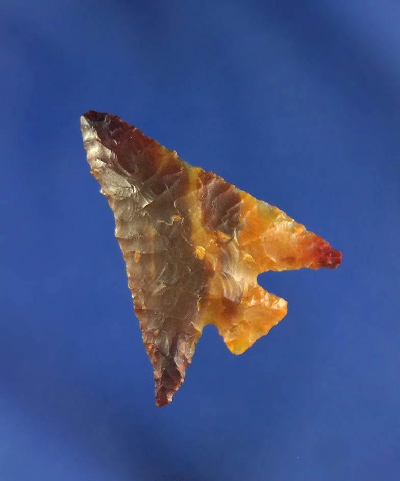 Paper thin 1" Columbia Plateau - exceptionally well made off a beautifully colored flake - Oregon.