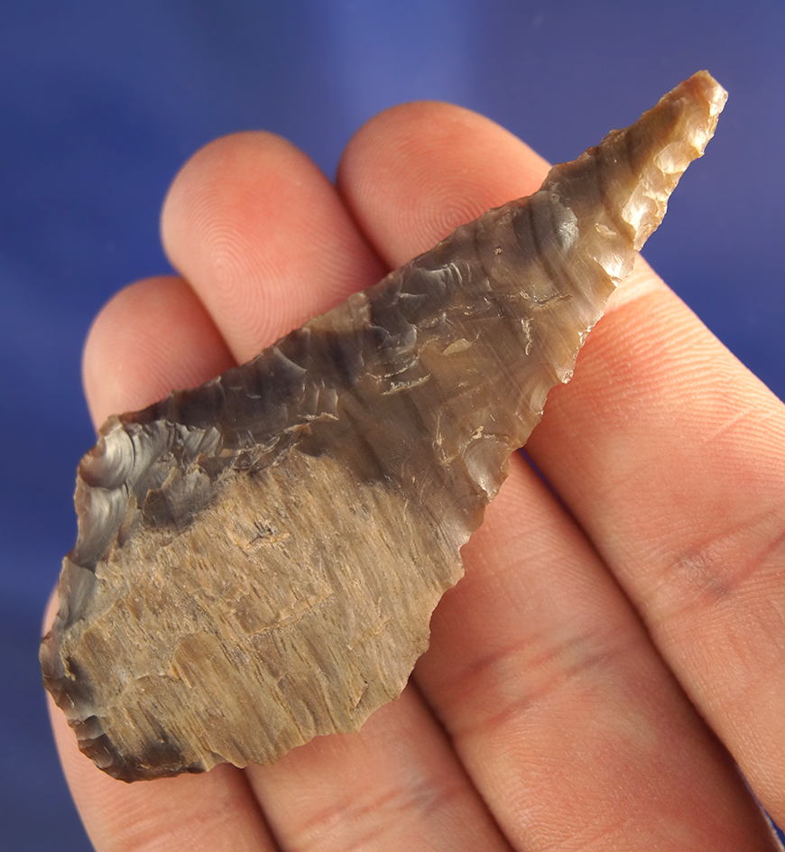 2 13/16" Wahmuza Knife made from beautiful petrified wood found near the Columbia River.