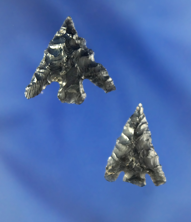 Nice pair of Obsidian arrowheads found in Oregon, largest is 13/16".