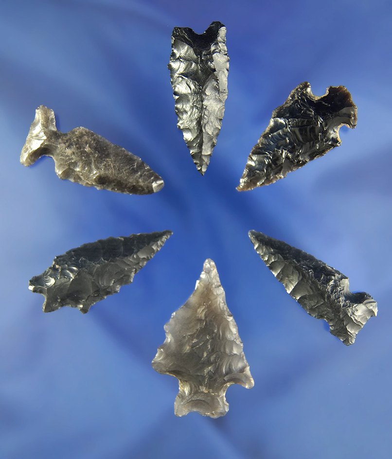 Group of six Great Basin Obsidian arrowheads, largest is 1 7/16".
