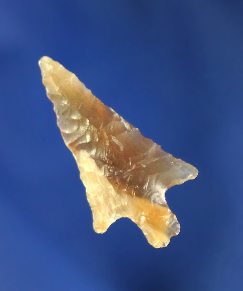 1 1/8" Wallula Gap - beautifully translucent multi-colored Agatized Wood - Columbia River, Oregon.