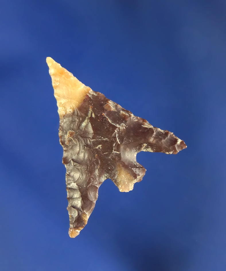 1" Columbia Plateau Split Stem found near Yeager Island on the Columbia River. Ex. Leon Wiley.