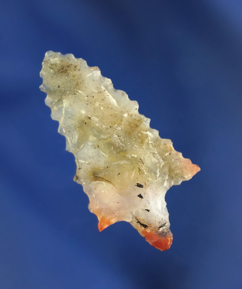 Nicely serrated 1 7/16" Rabbit Island - beautiful multicolored agate found near Scappoose, Oregon.