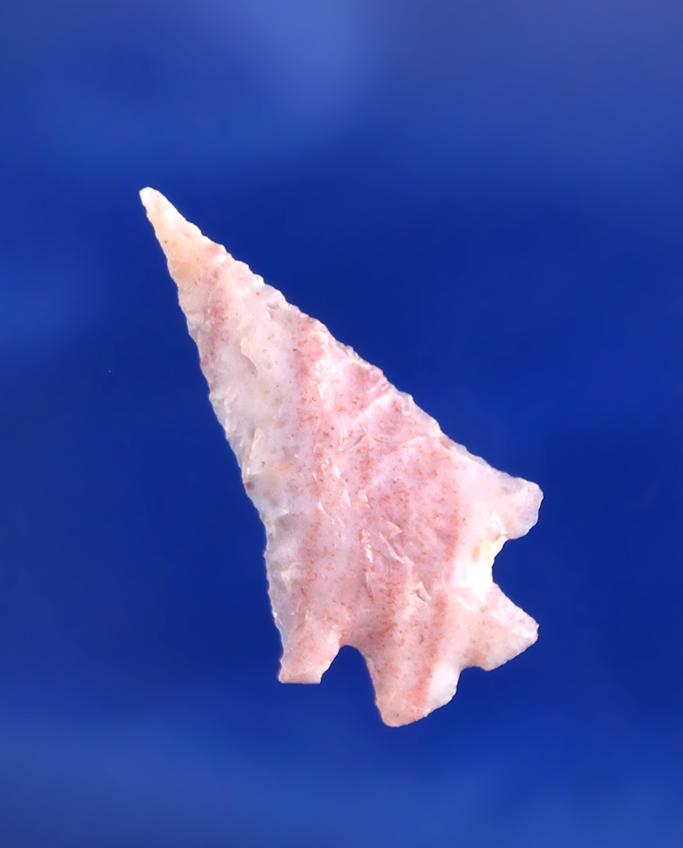 1 1/8" beautifully striped pink and white Gempoint found near the Columbia River.