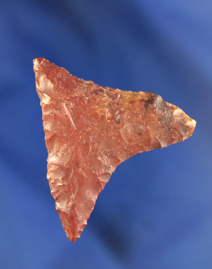1 7/16" Columbia Mule Ear made from beautiful multicolored red Jasper found near the Columbia.
