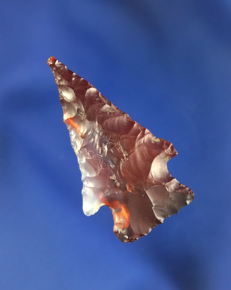 Beautiful material on this 1 5/16" Merrybell found at the Wafer family homestead in Camas Valley OR.