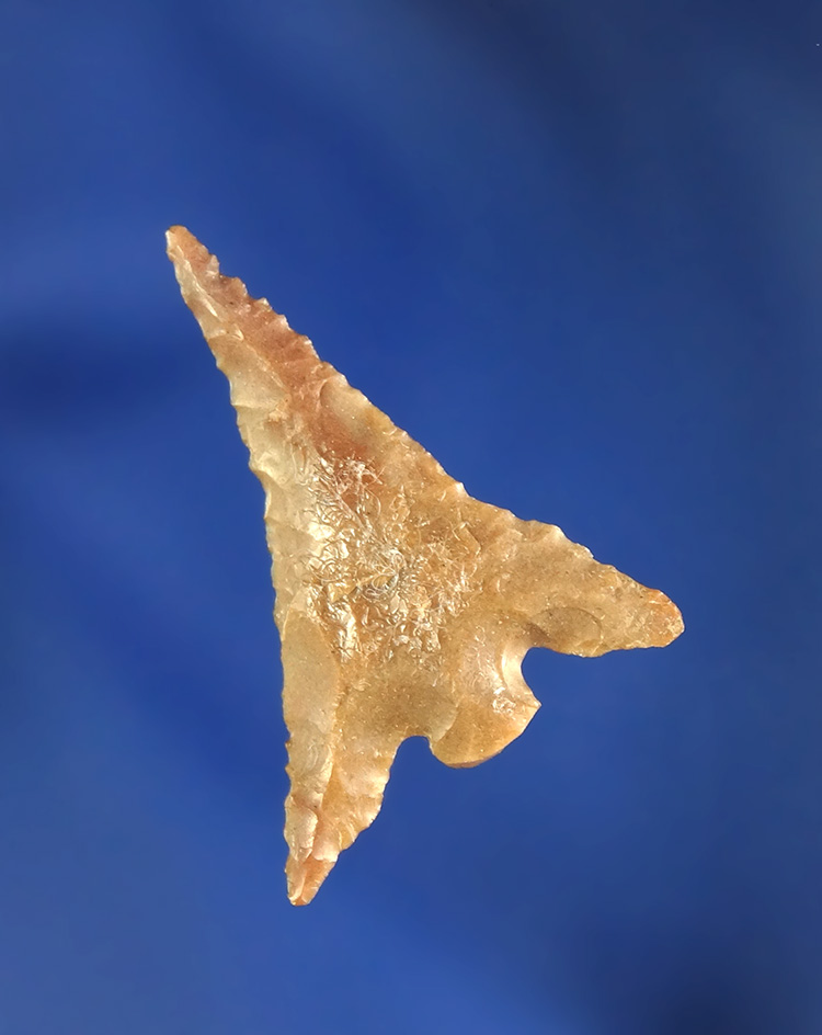 1 1/16" Columbia Plateau found near the Columbia River, Oregon.