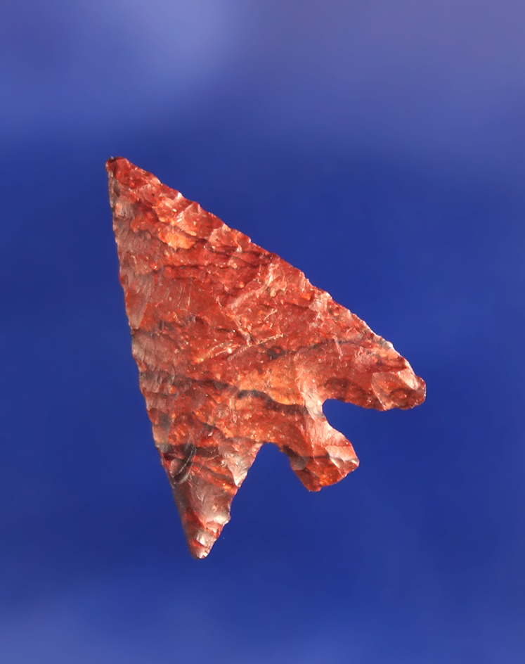 Very colorful 7/8" Columbia Plateau that is well flaked with excellent style, found in Oregon.