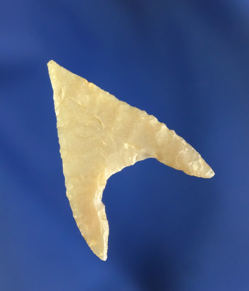 1 3/16" Gunther with an anciently salvaged basal area found in Oregon.