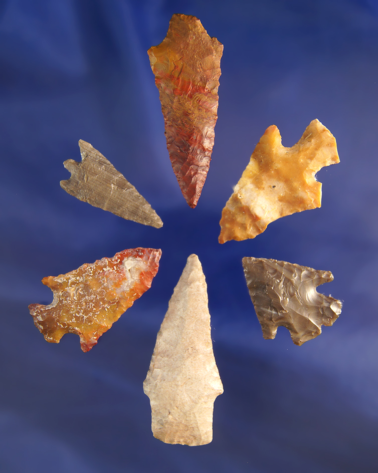Set of six arrowheads, largest is 2 1/16".  Wishram area of the Columbia River.