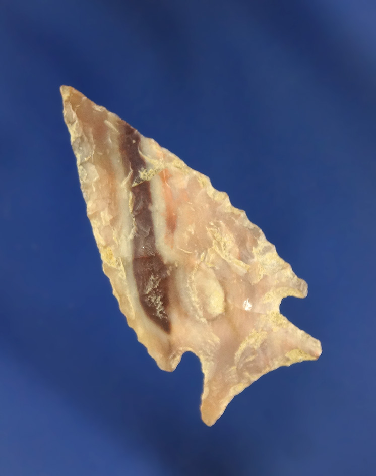 1 5/16" Elko found in northern Oregon. Very thin, nicely colored material.