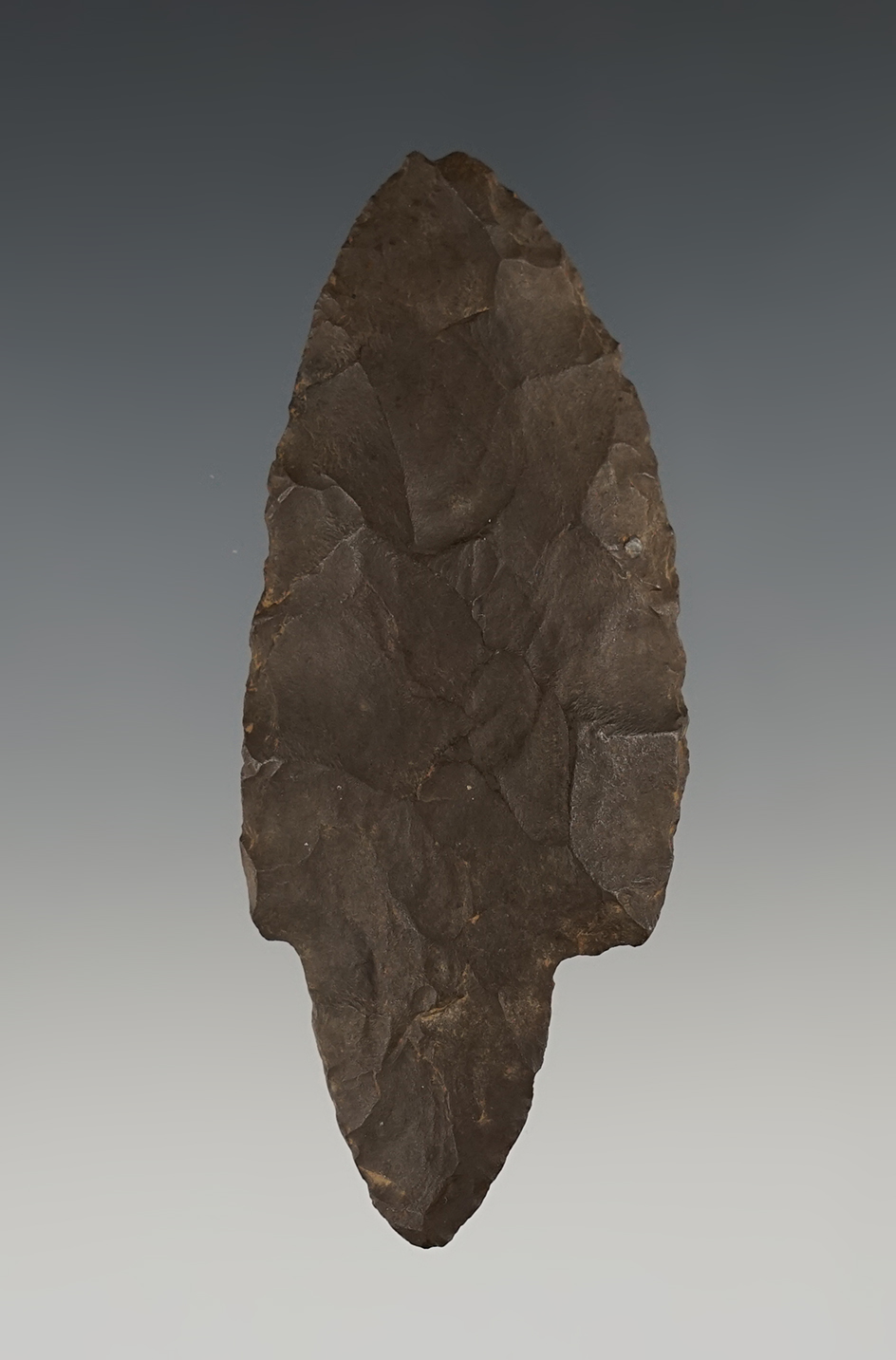 3 5/16" Adena Beavertail found in Tennessee.