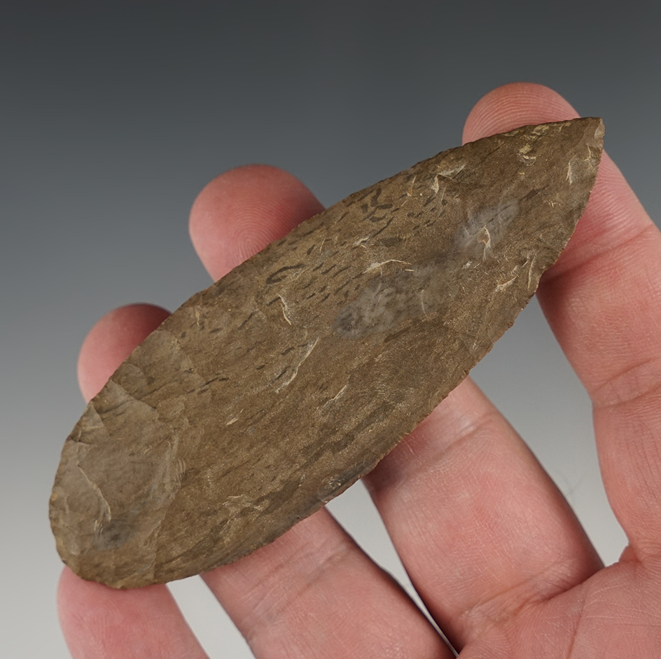 Superb 3 7/8" Leaf Shaped Blades found in Overton Co. Tennessee.