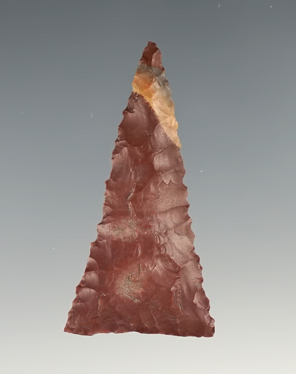 1 3/4" Triangle point found in Tennessee. Lightly serrated and made from Horse Creek Chert.