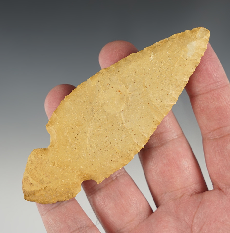 Outstanding 4 1/4" Tennessee Turkey Tail that is well made.