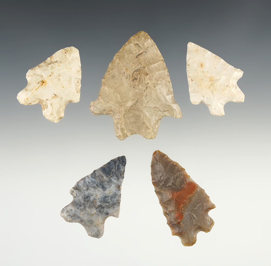 Set of 5 Ohio Bifurcates in great condition. The largest is 2 1/8".