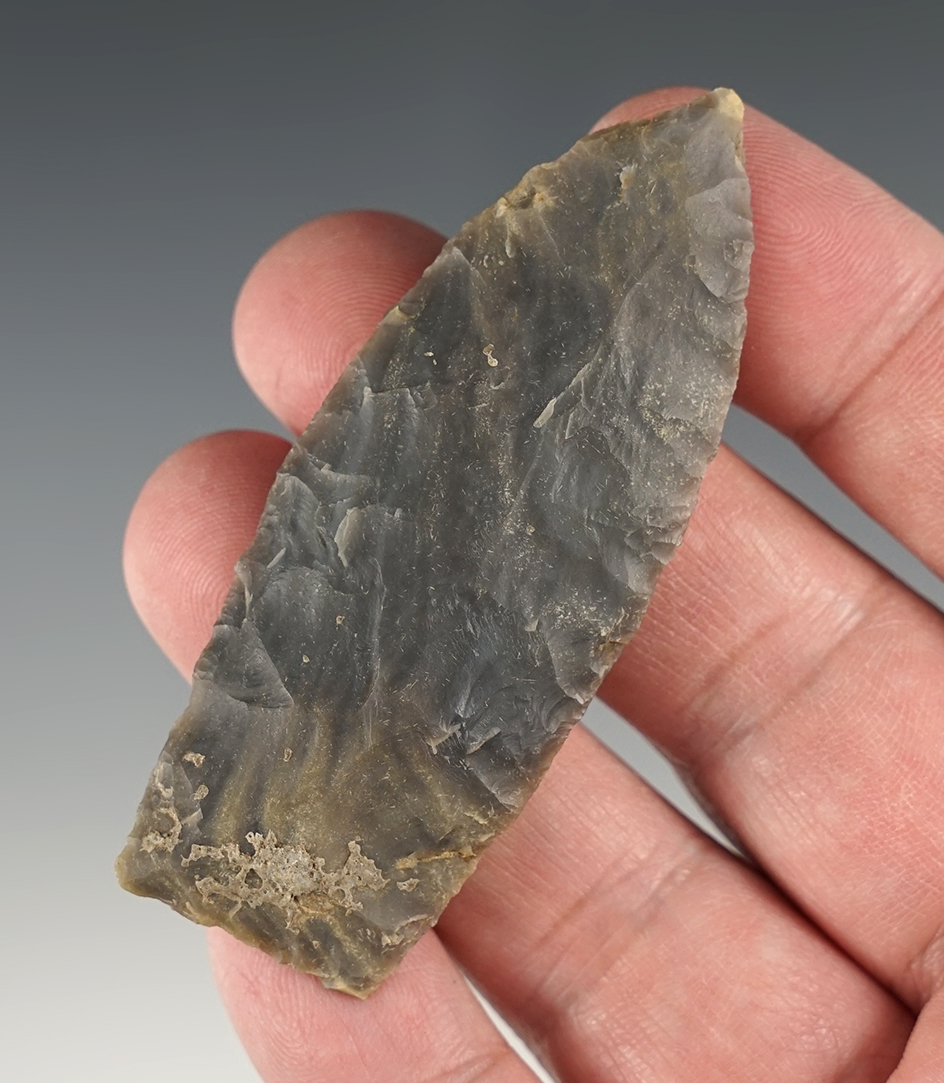 2 7/8" Hornstone Copena found in Kentucky. Ex. Tom Davis.