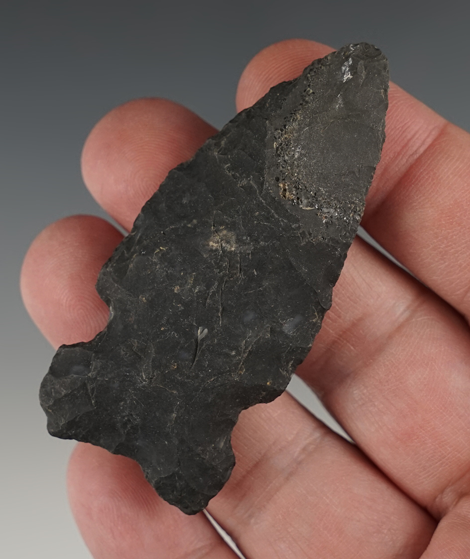 Nice 2 3/4" Side Notch point found in the Eastern U.S.