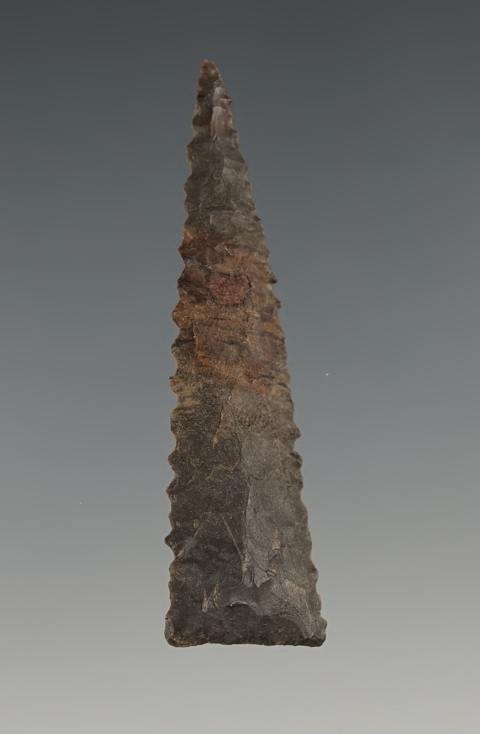 2 1/16" Serrated Ft. Ancient Triangle point found in Kentucky. Outstanding example.