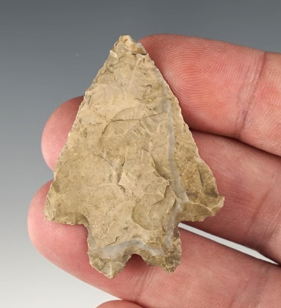 1 15/16" Thin and nicely made Ohio Bifurcate. Ex. Joel Hennesse.