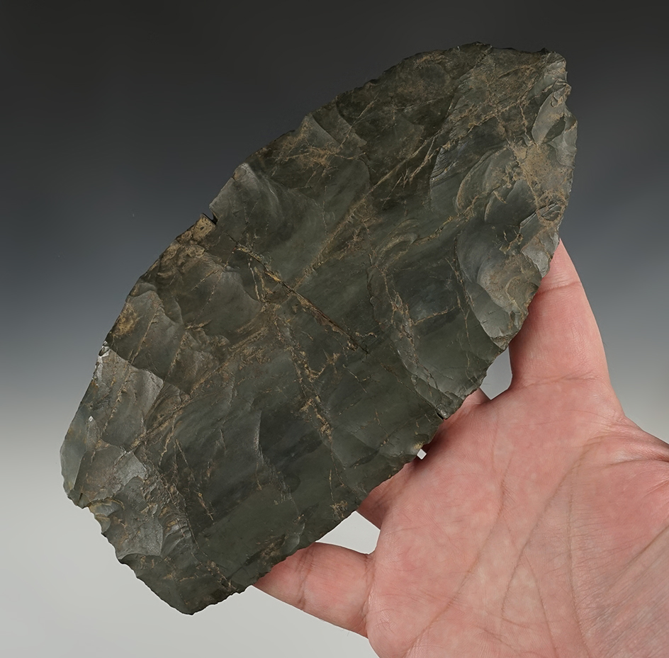 Massive 7 5/16" Petales Blade made from Normanskill Chert. Broken and glued.