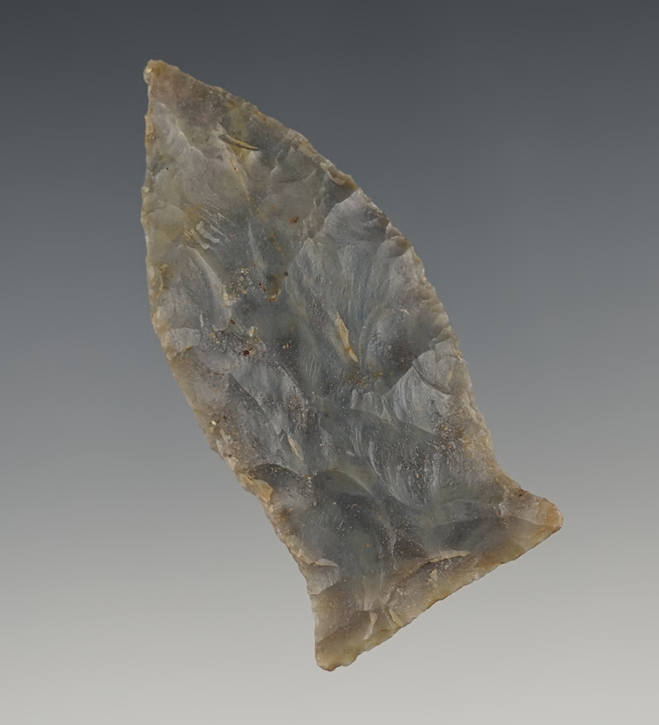 Nice 2 1/2" Copena Classic found in Kentucky.