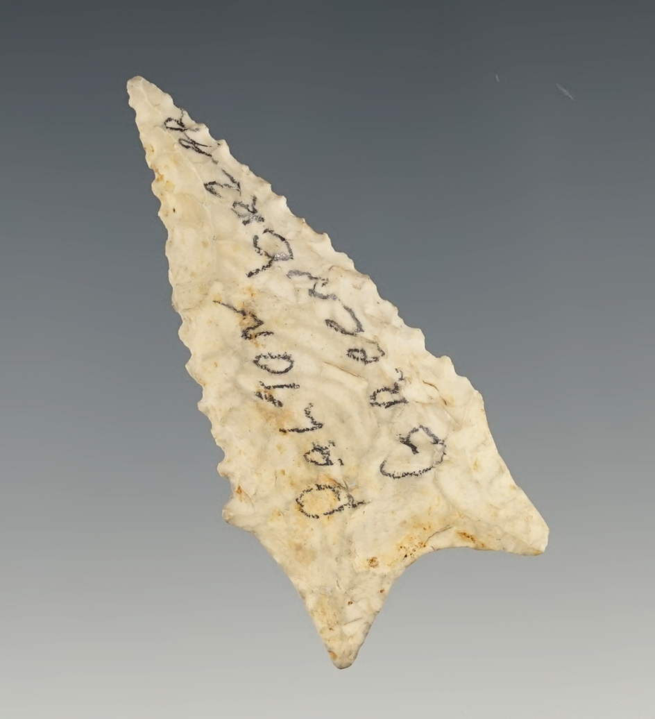 2 1/8" Finely serrated Dalton with excellent form.