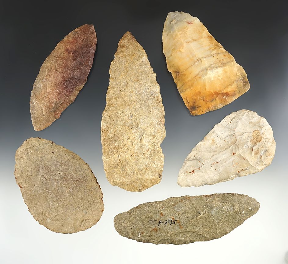 Set of 6 large Blades from various location. The largest is 5 1/2".