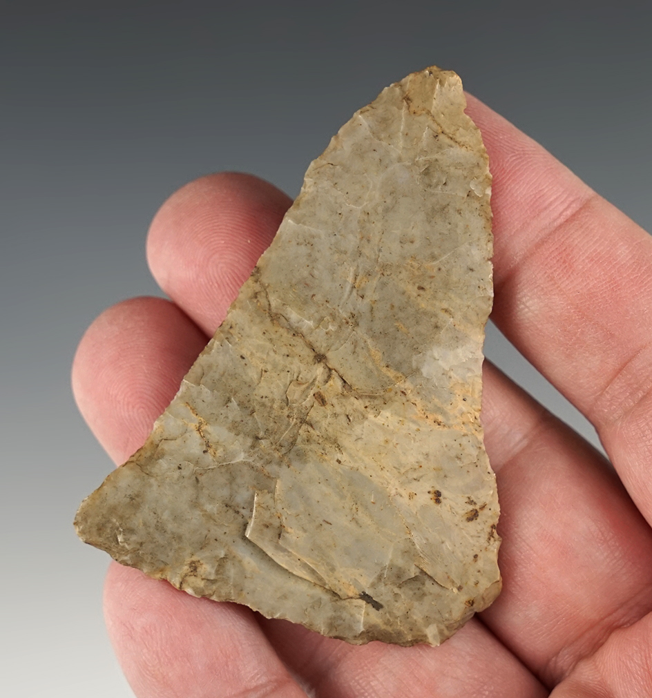 2 5/8" Ft. Ancient Knife found in Scioto Co., Ohio at the Feurt Site. Well patinated.