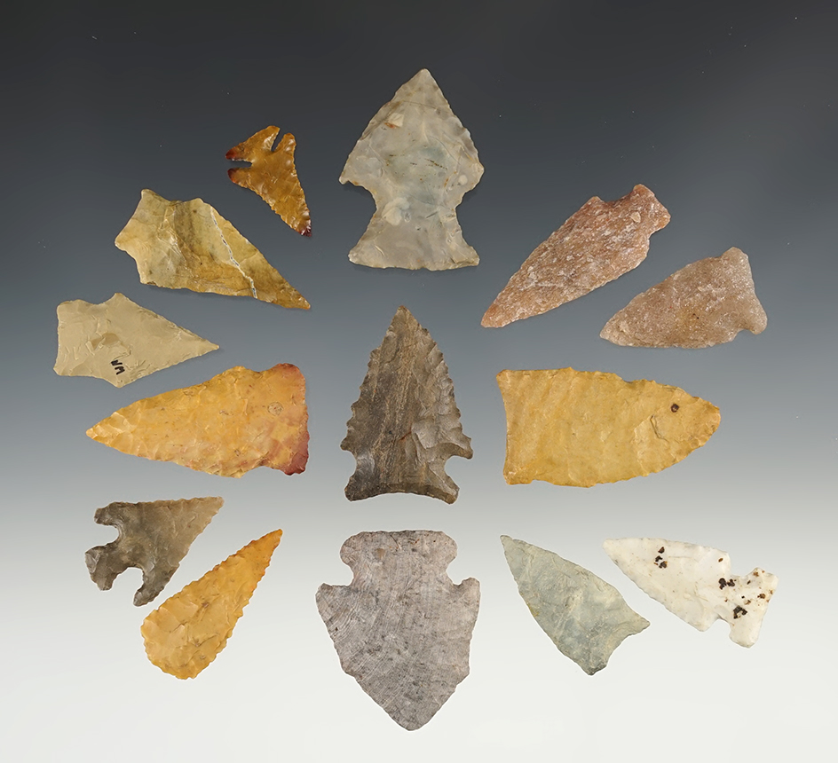 Set of 14 Assorted points from various states. Most are in excellent condition, largest is 1 3/4".