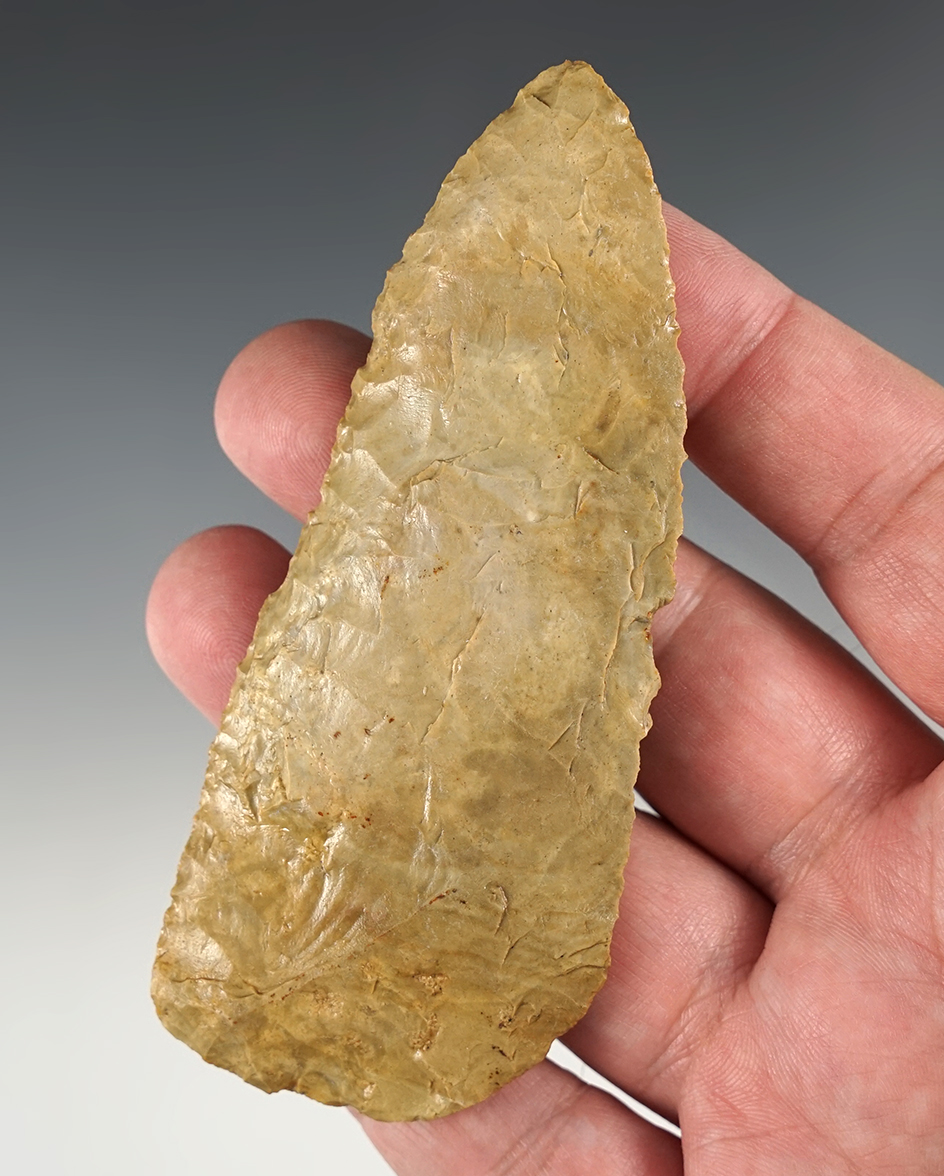 Beveled 4 1/16" Midwest Knife that is well made. A clear gloss has been applied to the surface.