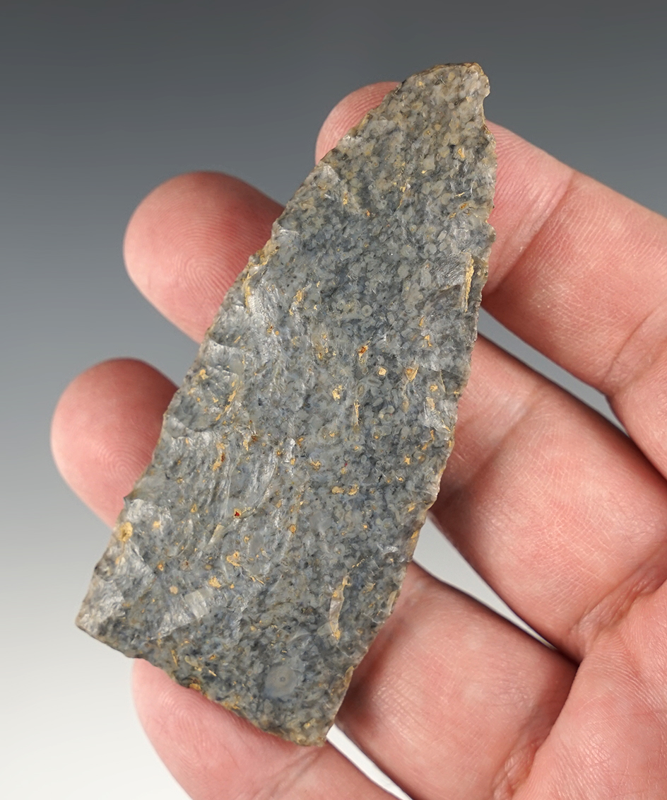 Nice 3 3/16" Copena found in Tennessee.