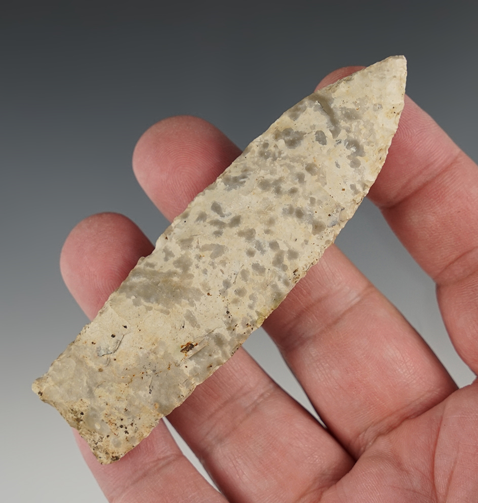 Nice 3 5/8" Sedalia found in the Midwestern U.S.