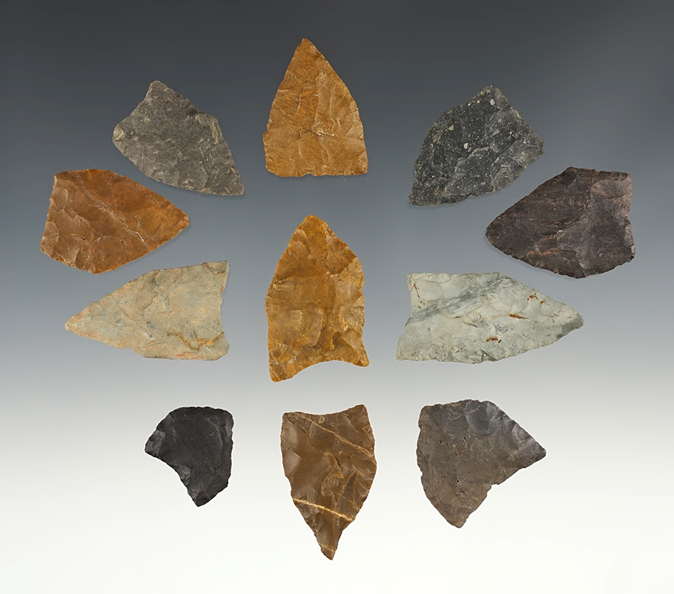 Set of 11 Jacks Reef Triangular Points in excellent condition. The largest is 1 7/16".