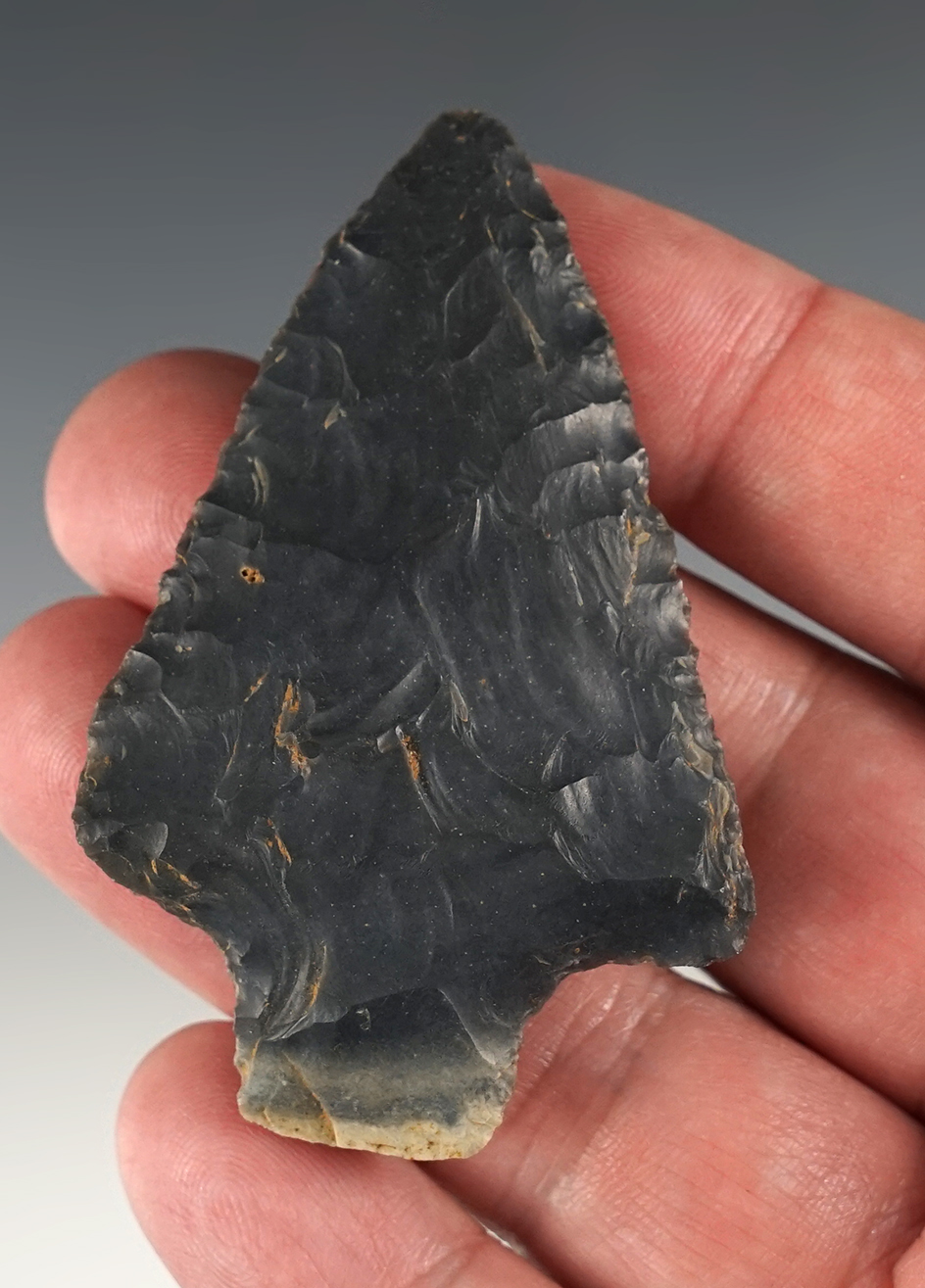 2 5/8" Pickwick made from Hornstone. Found in the Kentucky/Tennessee area.