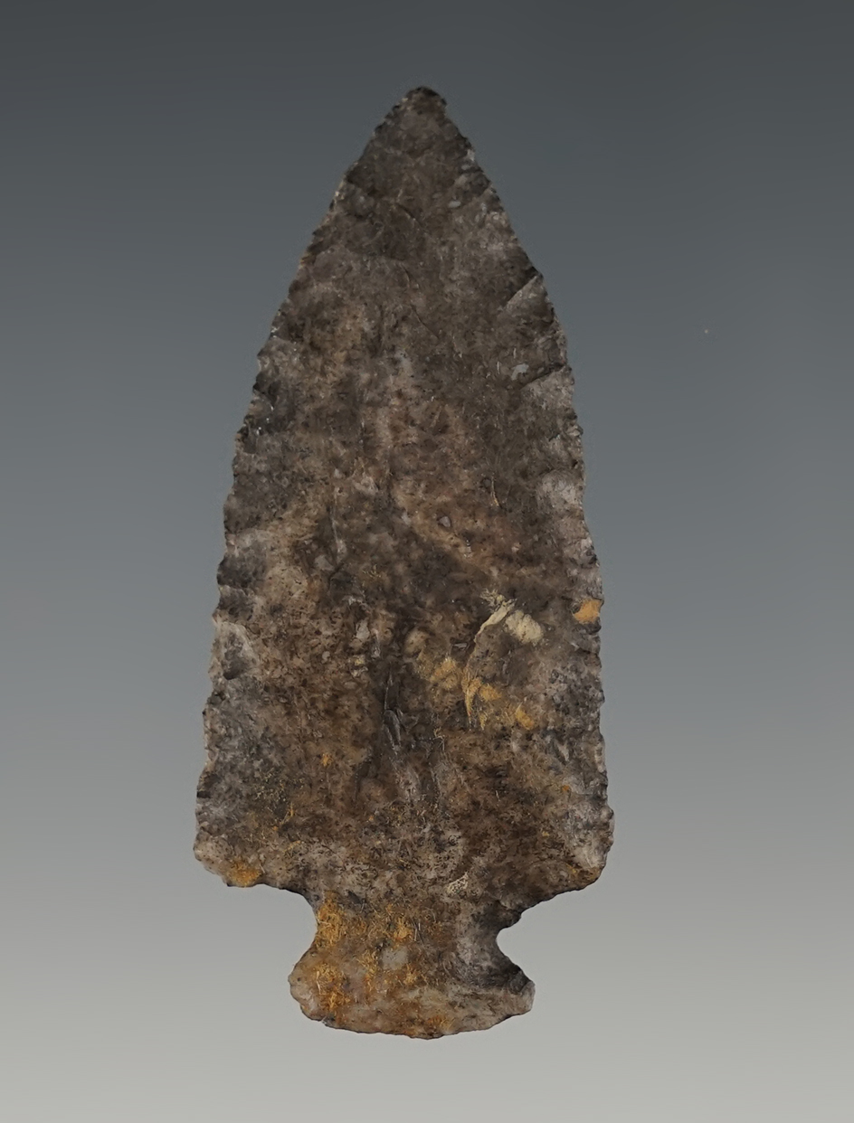 Nicely flaked 2 1/4" Bottleneck Style Point found in the Southwest.