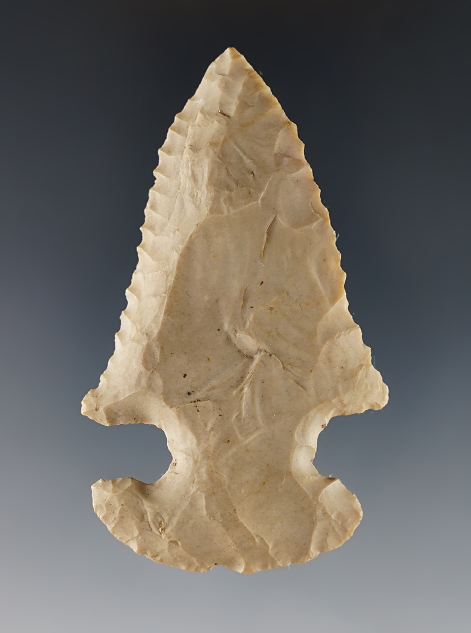 2 3/4" Thebes E-Notch with heavy mineral deposits on the surface. Found in the Midwestern U.S.