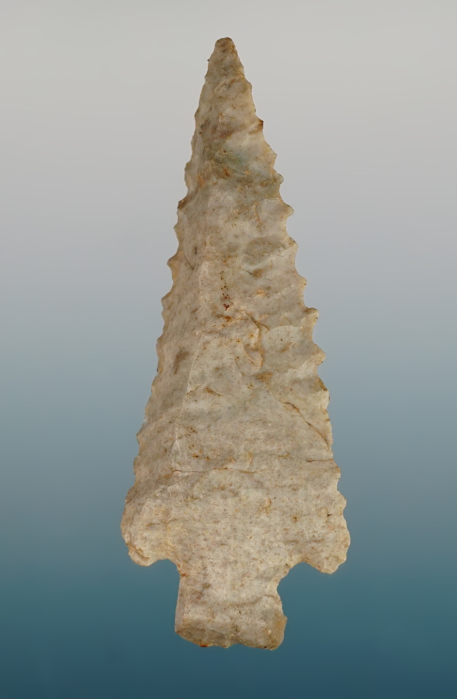 Heavily beveled 2 9/16" Archaic point with nice serrations. Found in Wayne Co., Ohio. 