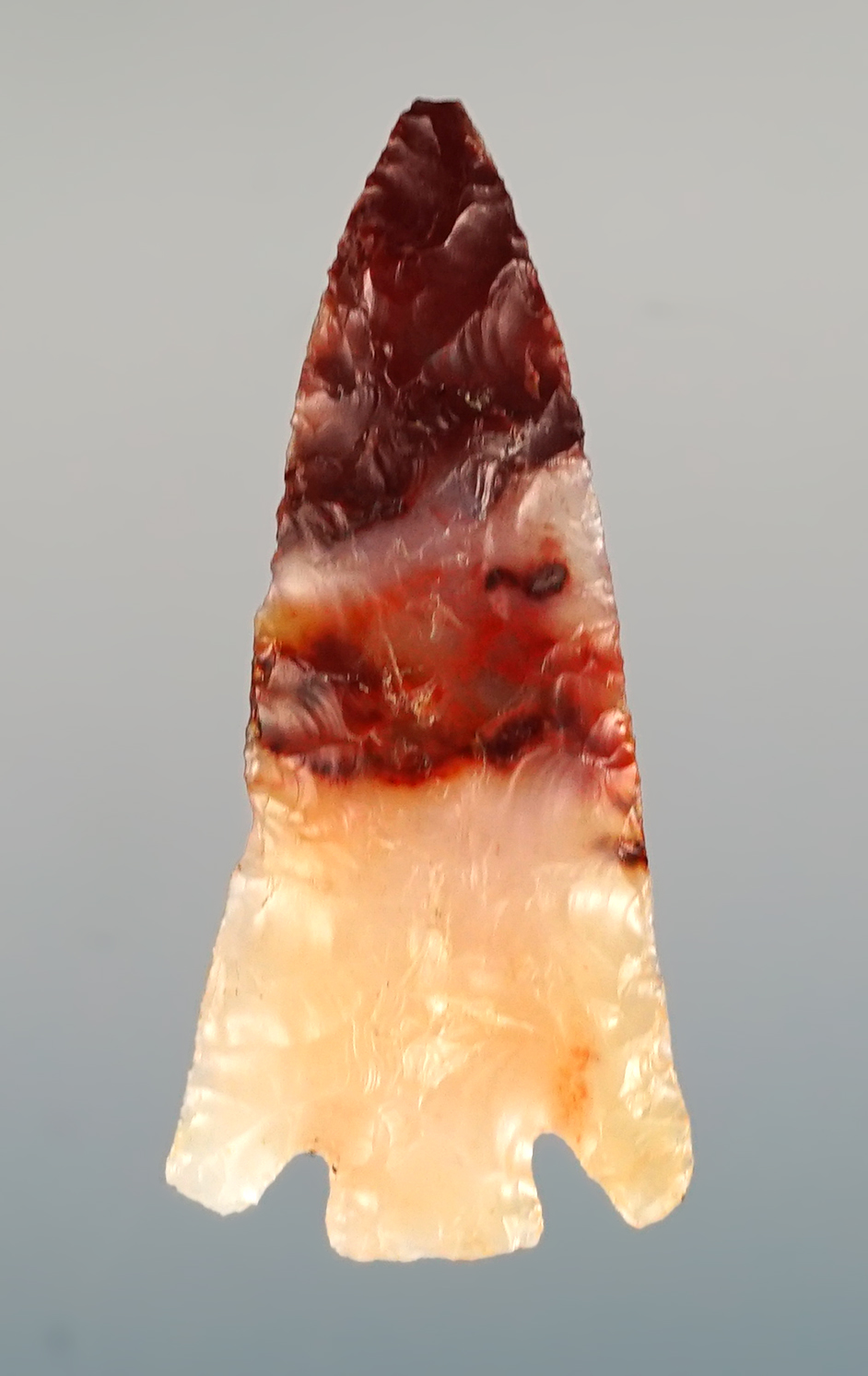 Nicely made 1 1/2" Columbia Plateau - Washington/Oregon. Comes with a Stermer COA.