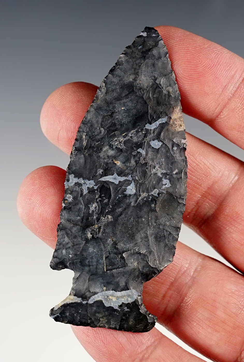 2 15/16" Intrusive Mound found in Pike Co., Ohio. Comes with a Jackson COA.