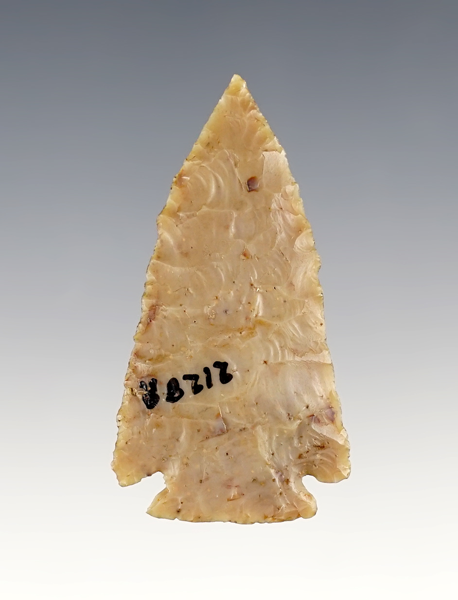 SALE HIGHLIGHT! 2" Archaic Micro-Notch type point. Found near Todd Fork, Clinton Co., Ohio. 