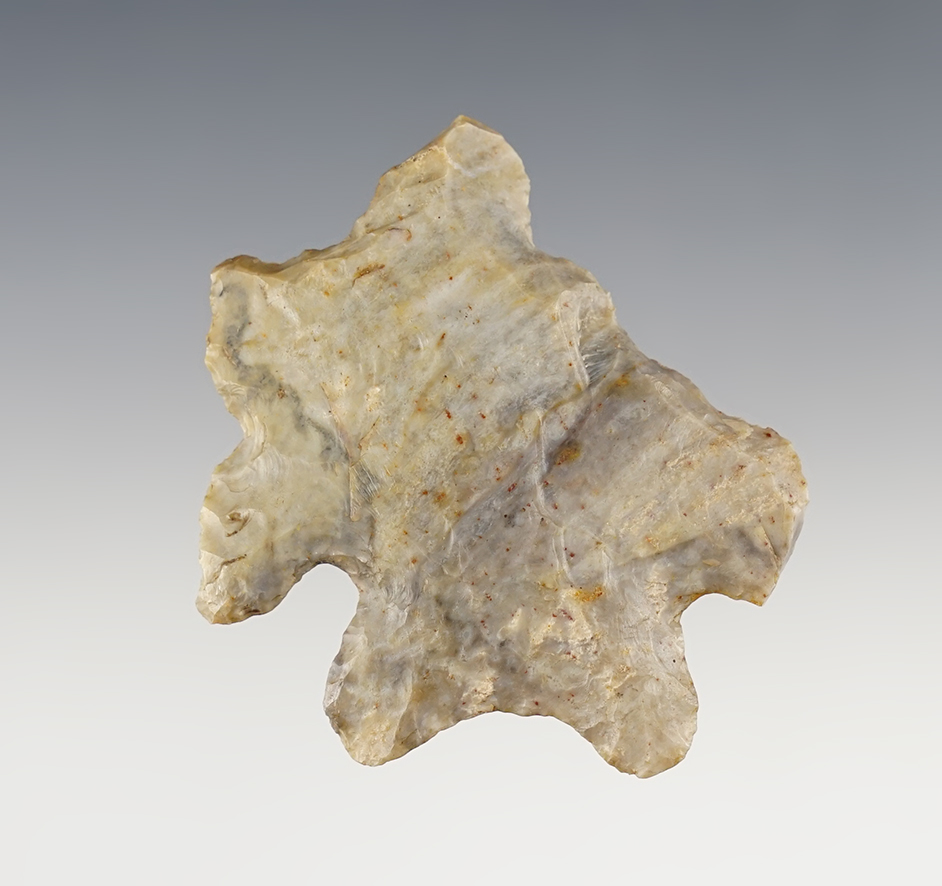 Unique 2 5/16" MacCorkle Bifurcate that was anciently worked into a multi-purpose Tool. Ohio.