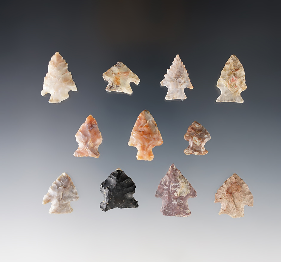 Set of 11 fine Ohio Birdpoints. Most are made from Flint Ridge Flint. The largest is 1".