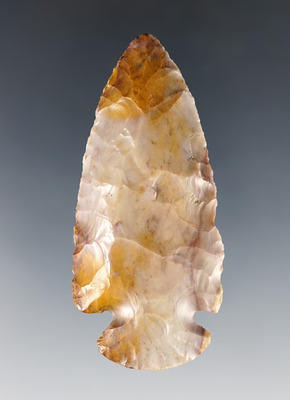 Amazing color on this 2 3/4" Classic Archaic Dovetail -purple and gold Flint Ridge Flint.  Ohio.