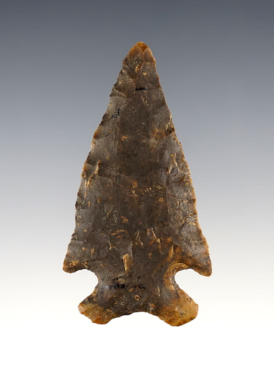 2 5/8" Archaic Bevel with heavy mineral deposits on the surface. Found in Ohio. Ex. Wehrle collection.