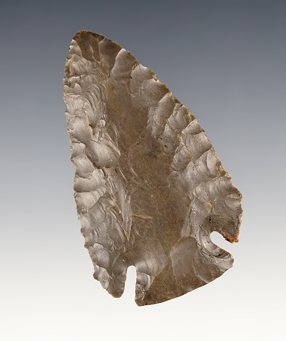 Nice 2 5/8" Ohio Archaic Bevel with heavy basal grinding. Ex. Kenny McNeal collection.