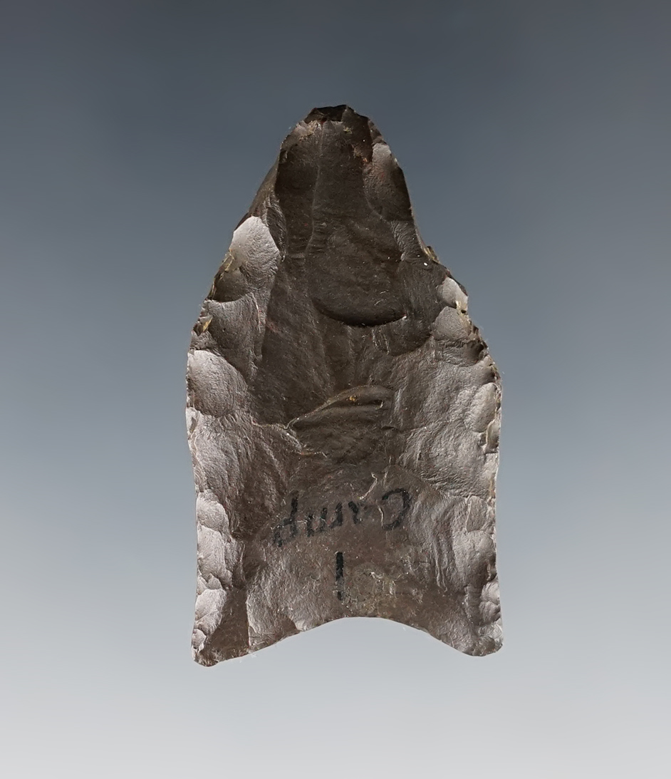 1 7/8" Paleo Clovis - deeply patinated chocolate-colored Coshocton. Franklin Co., Ohio. Bennett COA.