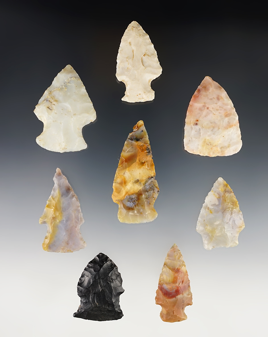 Set of 8 nice Woodland points made from Flint Ridge Flint. The largest is 1 15/16".